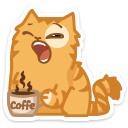 cat5    {cat5} {cat5}