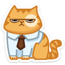 cat14    {cat14} {cat14}