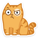 cat22    {cat22} {cat22}