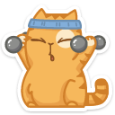 cat43    {cat43} {cat43}